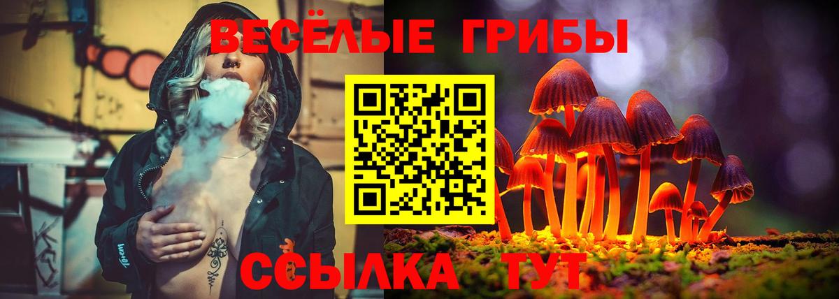 Псилоцибиновые грибы Magic Shrooms Майкоп