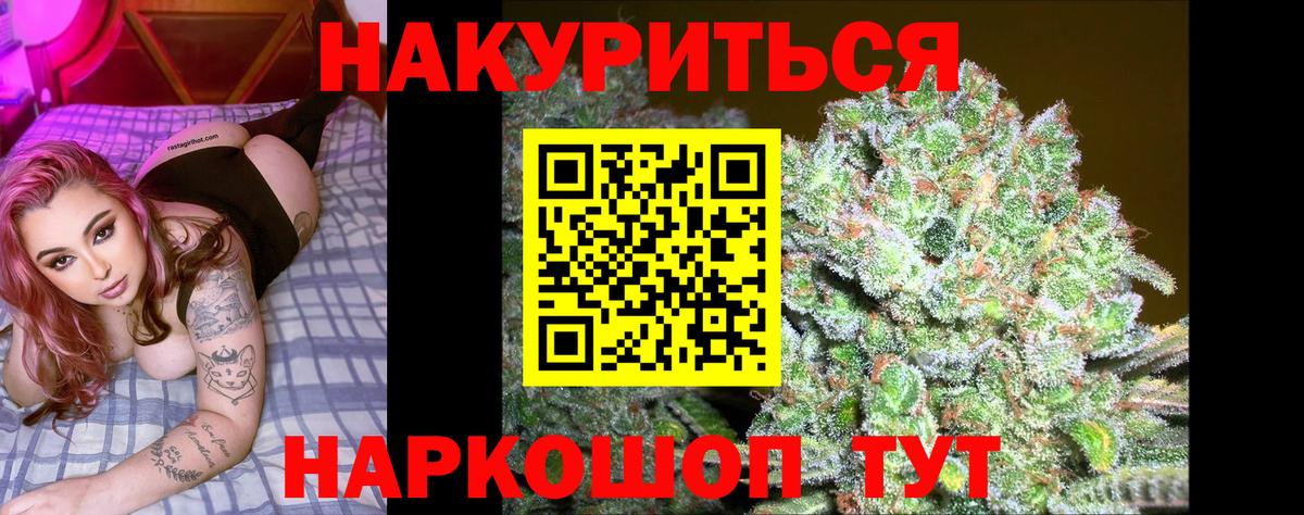 Конопля гибрид Майкоп